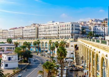 新闻稿发布在支持阿尔及利亚企业和组织运营中的战略作用