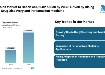 Organoids Market to Reach USD 2.82 billion by 2030, Driven by Rising Use in Drug Discovery and Personalized Medicine