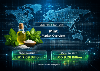 Mint Market Size to Reach USD 9.28 Billion by 2031 Driven by Premiumization, Sugar-Free Demand, and Online Expansion
